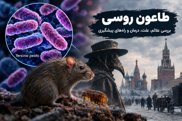 طاعون روسی چیست؟ بررسی علائم، علت، درمان و راه‌های پیشگیری